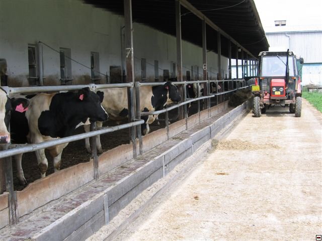 Troubelice 2006 033.jpg